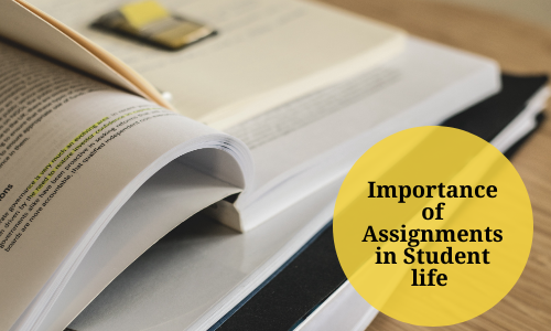 importance of giving assignments to students