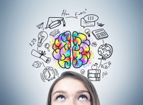 How Learning Gets Affected By The Understanding Of Your Brain?