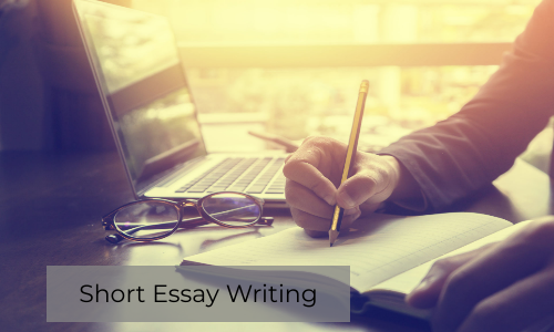 best law essay writing service Expert Interview