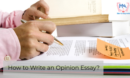 How To Write An Opinion Essay?