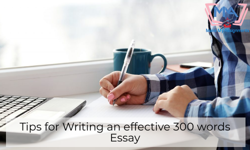 Tips For Writing An Effective 300 Words Essay