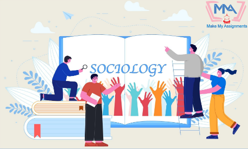 Online Sociology Assignment Help