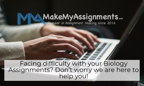 Facing Difficulty With Your Biology Assignments? Don’t Worry We Are Here To Help You!