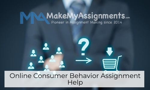 Online Consumer Behavior Assignment Help