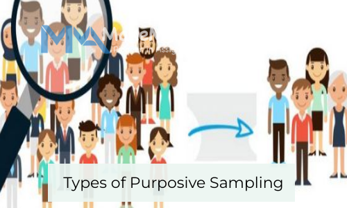 Types Of Purposive Sampling