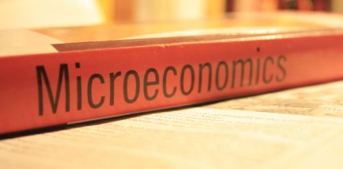Microeconomics And Its Theories